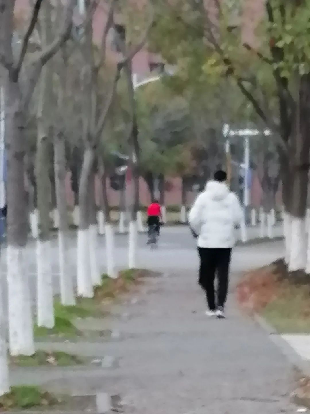 移步换景2+陈显+18521316950.jpg